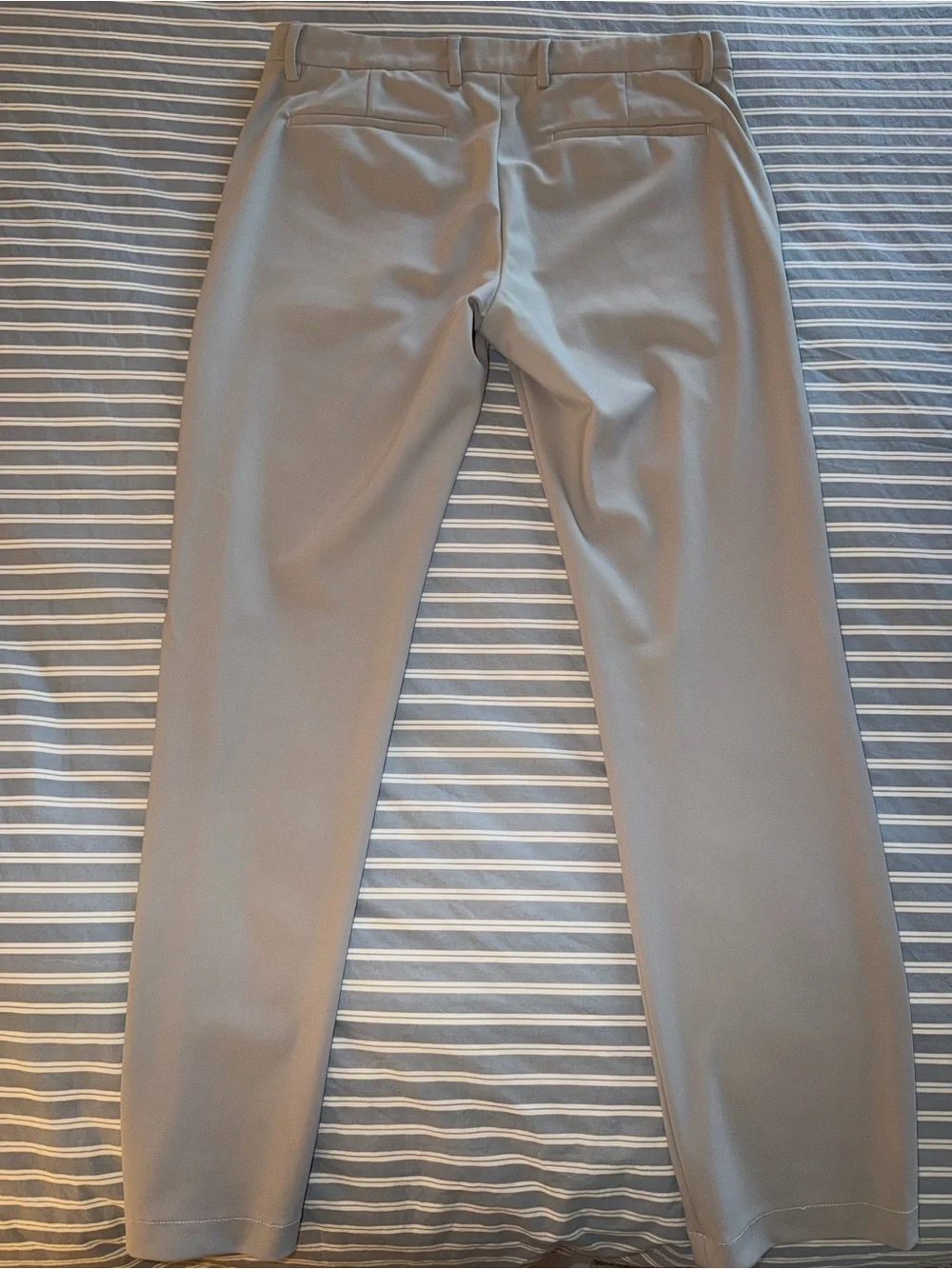 Theory Zaine Pant in Precision Point 32x32 Putty Color